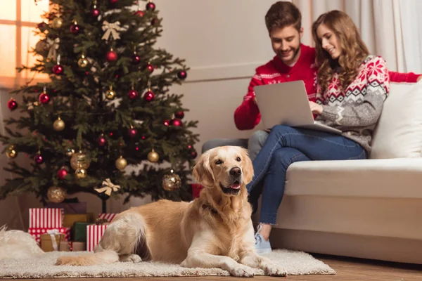 Dog and couple using laptop — Stock Photo