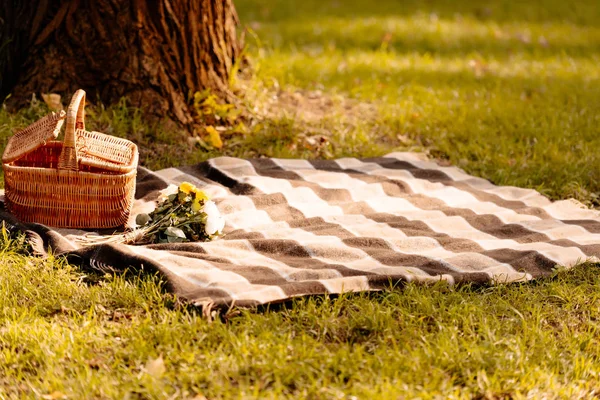 Picnic blanket and basket — Stock Photo