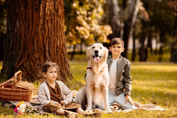 Enfants et chien dans le parc — Photo de stock