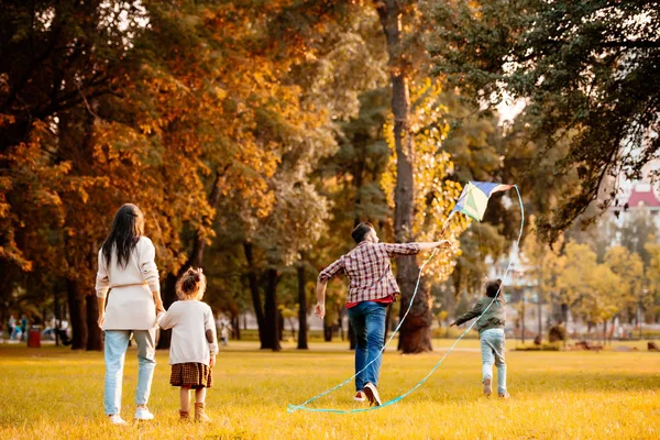 Family flying kite in park — Stock Photo