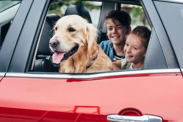 Niños sentados en coche con perro - foto de stock