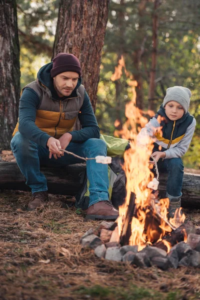 Pai e filho cozinhar marshmallows na floresta — Fotografia de Stock