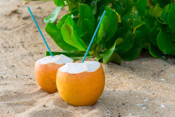 Cocktails en noix de coco sur sable — Photo de stock