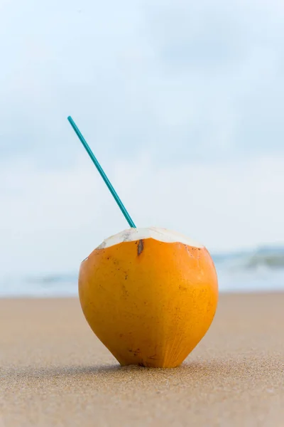 Cóctel en coco con paja - foto de stock