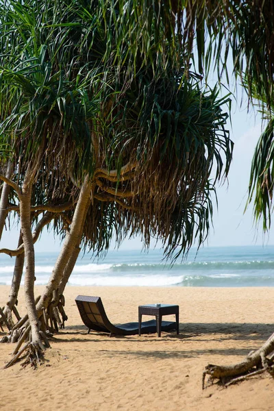 Chaise longue sur la plage de sable — Photo de stock