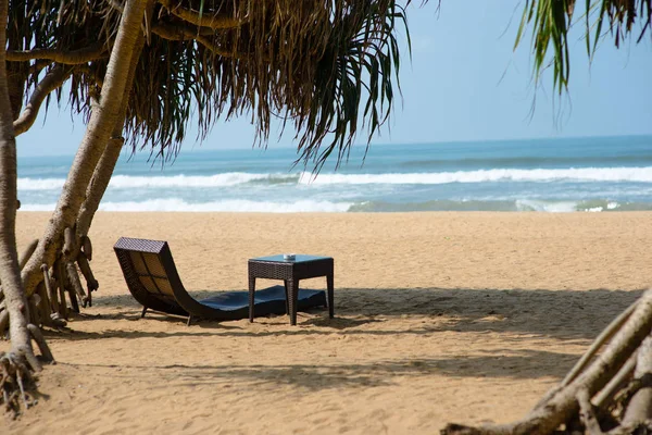 Cama de sol na praia arenosa — Fotografia de Stock