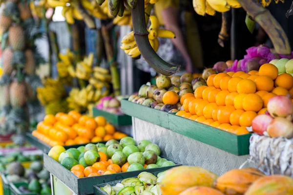 Frutas tropicales en el mercado - foto de stock