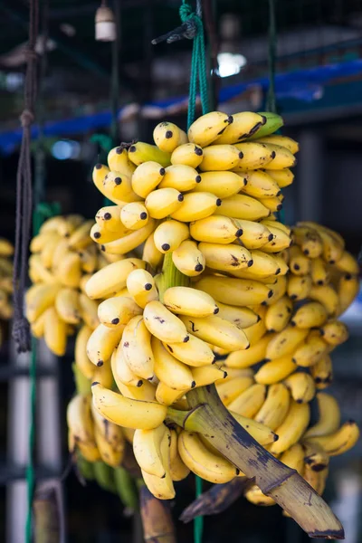Branch of bananas on market — Stock Photo