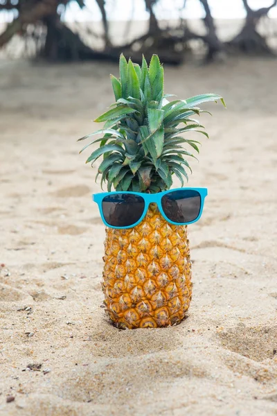 Piña en gafas de sol azules - foto de stock