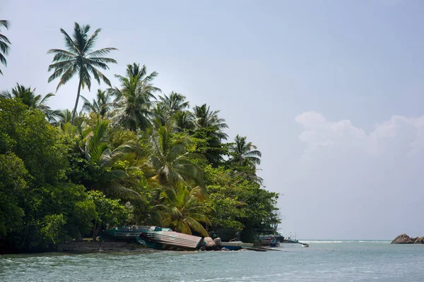 Île tropicale — Photo de stock