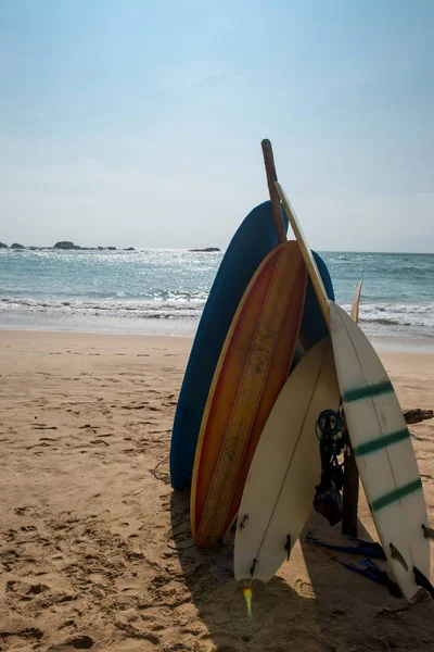 Surfbretter — Stockfoto