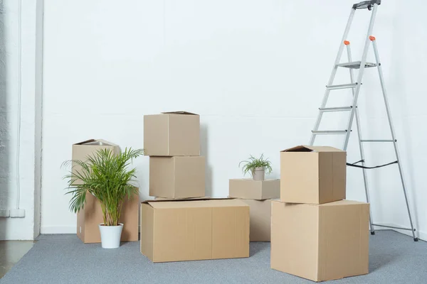 Картонные коробки, лестницы и горшки растений в пустой комнате во время перемещения — стоковое фото