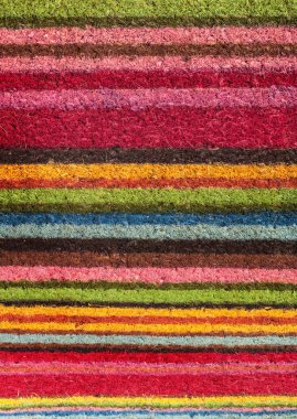 Çok renkli çizgili halı