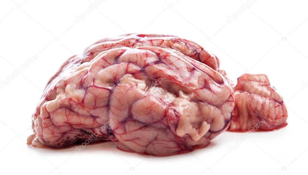 Sheep's brain isolated on white background