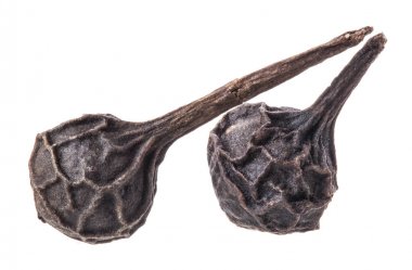 Beyaz arkaplanda karabiber (Cubeb) izole edildi