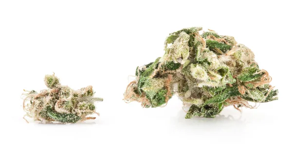 Medycznej marihuany na białym tle — Zdjęcie stockowe