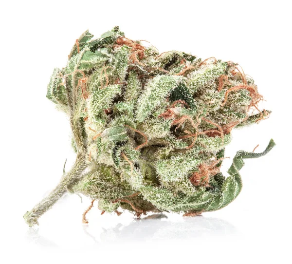 Medicinsk marijuana isolerad på vit bakgrund — Stockfoto