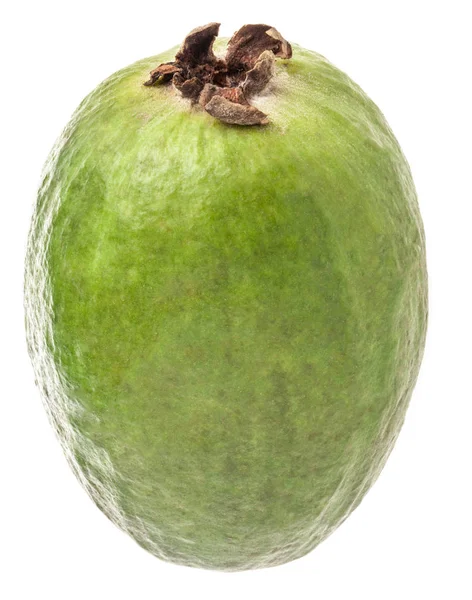 Feijoa Acca Sellowiana Geïsoleerd Witte Achtergrond — Stockfoto