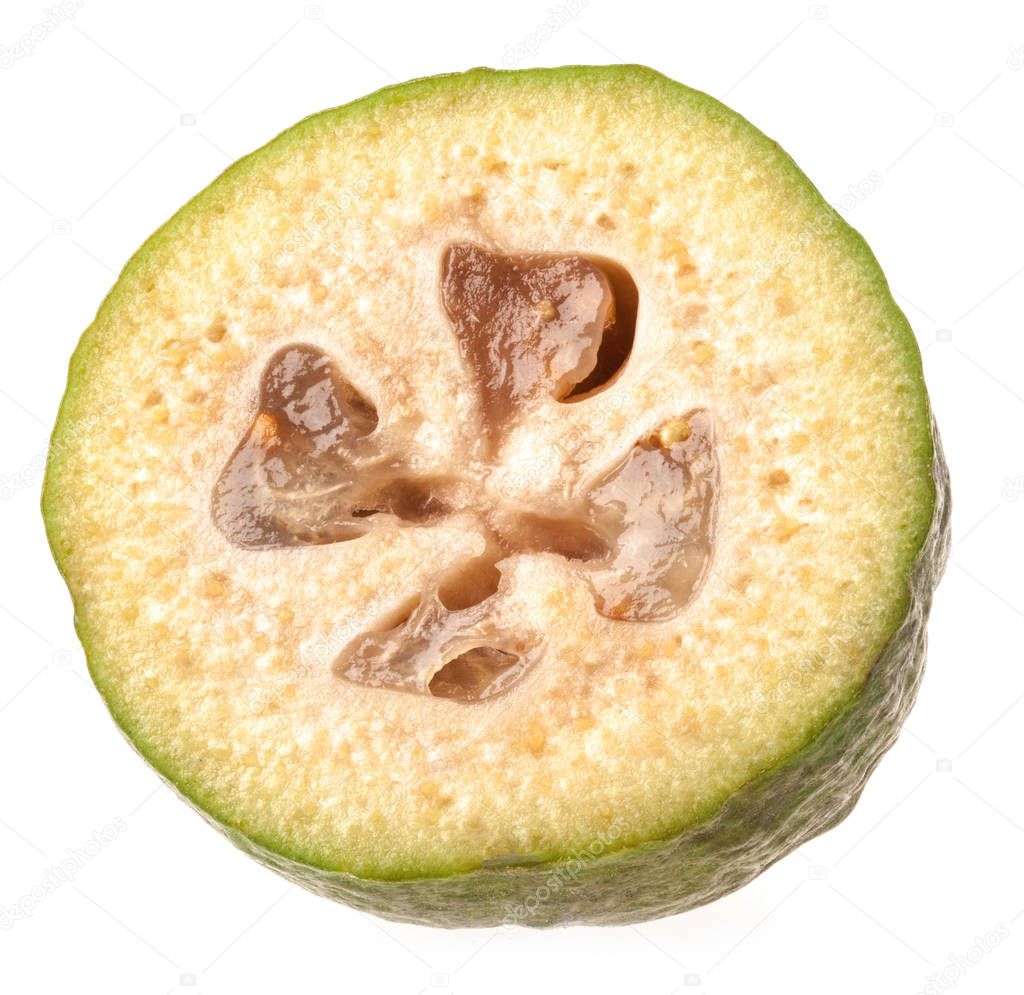 Feijoa (Acca sellowiana) isolated on white background