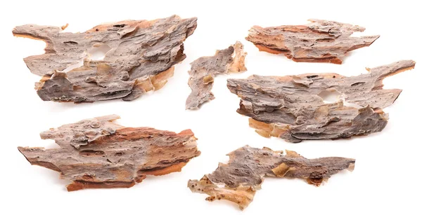 Pieces Pine Bark Isolated White Background — Stock Photo, Image