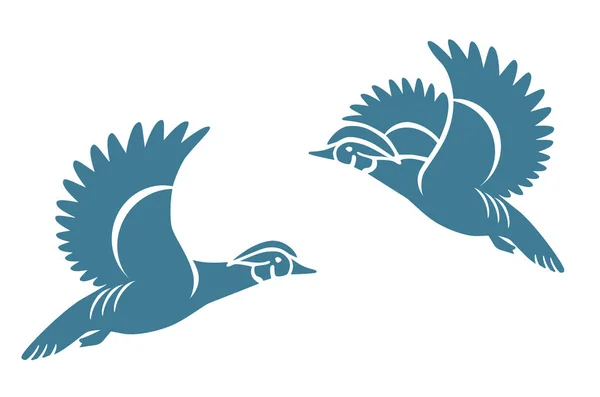 Wood Duck Carolina Ördek Vektör Çizimi Kuş Vektörü — Stok Vektör