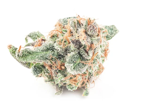 Medical marijuana flower with trichomes and orange hairs — Stock Photo, Image