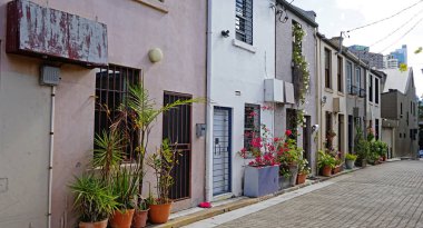 Saksı Surry Hills, Avustralya ile dekore edilmiş tipik Avustralya evler giriş