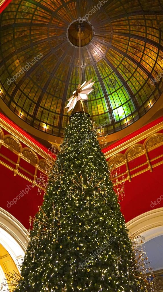 The iconic Queen Victoria Building unveils its Swarovski Christmas tree