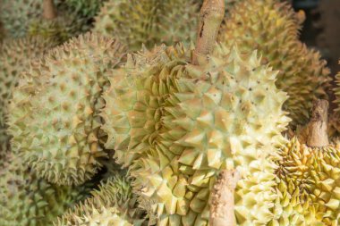 İçinde belgili tanımlık çarşı Tayland Durian meyve için satmak.