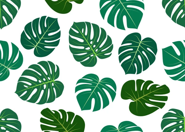 Seamless Pattern Leaves Monstera Isolated White Background — Stock Vector