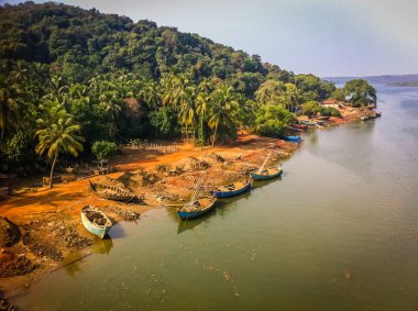 Tekneler ve nehir kıyısında palmiye ağaçlarının