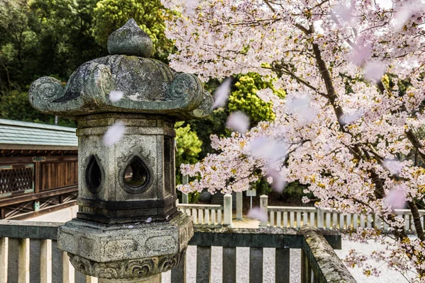 盛开的樱花在日本冈山寺美丽春天风景 — 图库照片