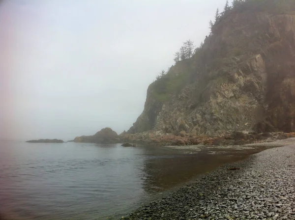 Costa de piedra en la niebla — Foto de Stock