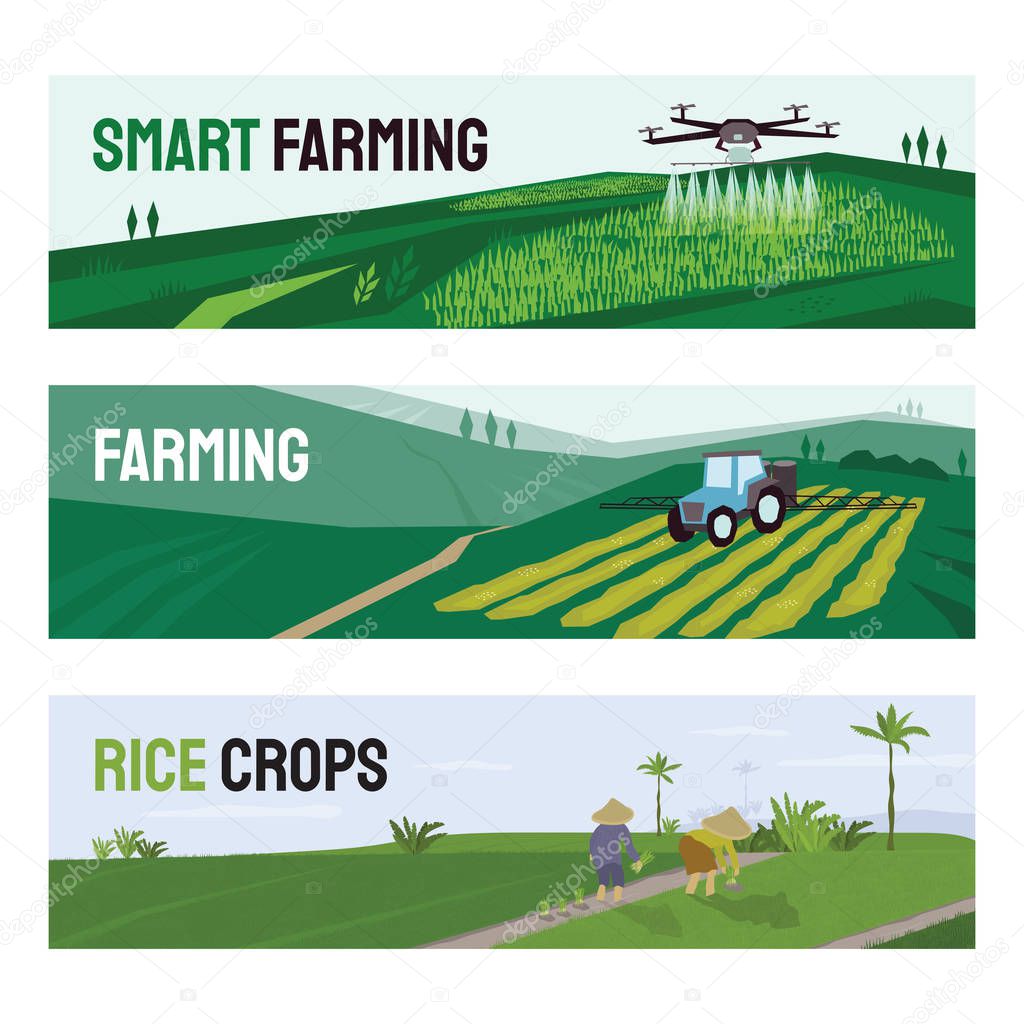 Illustrations of smart farming, rice crops, agriculture