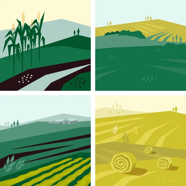 Serie di illustrazioni vettoriali dei campi agricoli — Vettoriale Stock