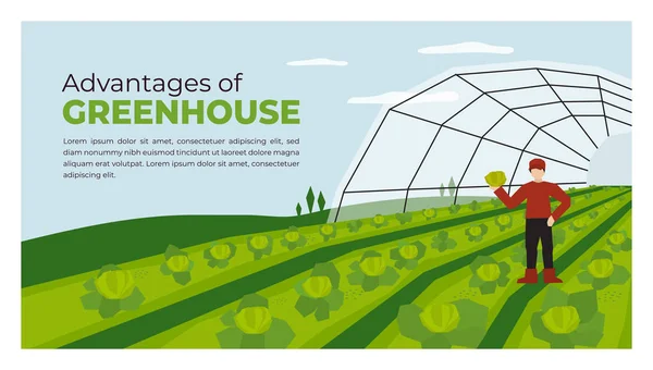 Agricultor e cultivo de estufa na agricultura —  Vetores de Stock