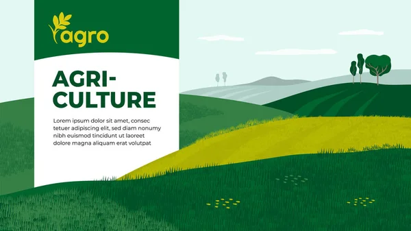 Ilustración Vectorial Del Paisaje Con Campos Agrícolas Diseño Para Empresa — Archivo Imágenes Vectoriales