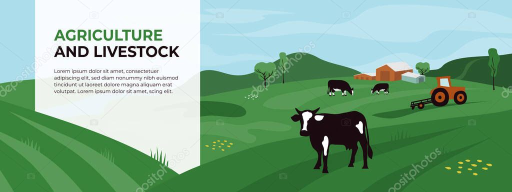 Template with copy space for agriculture, livestock or dairy company. Agricultural landscape with tractor and cows. Vector illustration of farm land, cattle, panoramic scene. Design for banner, flyer.