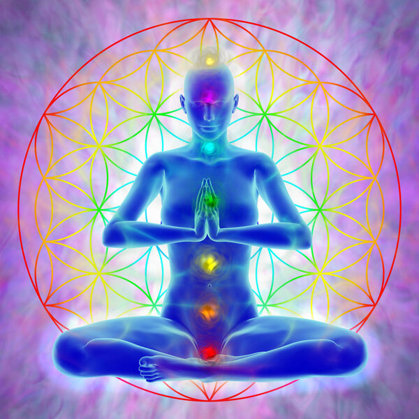 Meditation - flower of life