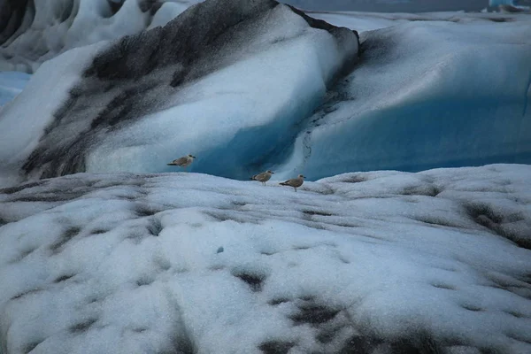 Eiland Landschaft Atlantik Insel Wasserfall Jkulsarlon — Stockfoto