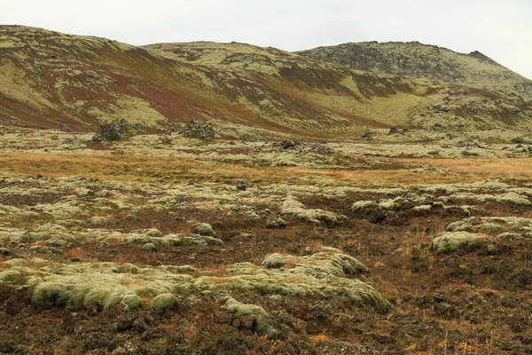 Island Landschaft Insel Atlantik Snaefellsnes — ストック写真