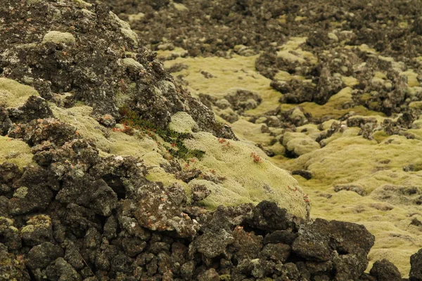 Ostrov Landschaft Insel Atlantik Snaefellsnes — Stock fotografie