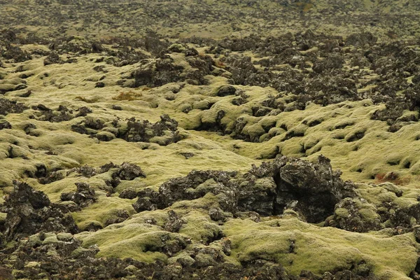 Island Landschaft Insel Atlantik Snaefellsnes Stock Image