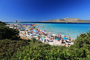 Sardunya, Insel, Mittelmeer, Strand, Wasser, Meer, Kum, Bucht