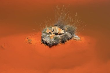 Sardunya, Insel, Mittelmeer, Strand, Wasser, Meer, Kum, Bucht