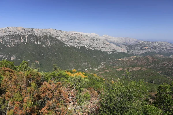Sardinien Berge Binnenland Stausee Sommer Wasser Bume Gebirge — Stock Fotó