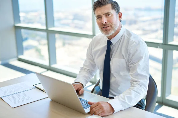 Portret Van Een Knappe Volwassen Zakenman Zittend Aan Zijn Bureau — Stockfoto