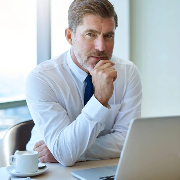 Portrait Handsome Mature Business Leader Greying Hair Attractive Short Beard — Stockfoto