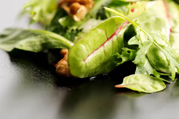 Fresh ecological salad mix — Stock Photo, Image