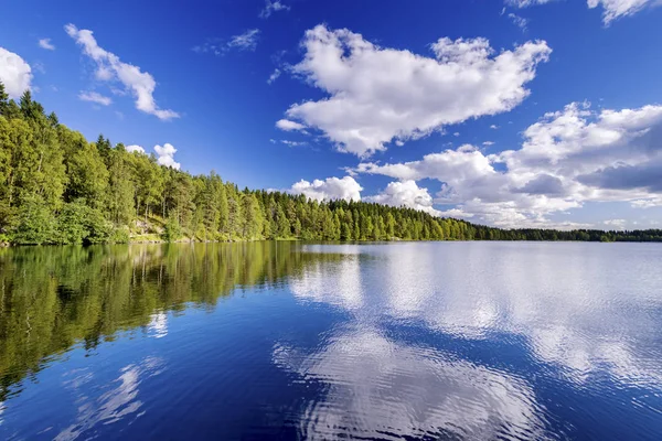 Lesní jezero — Stock fotografie